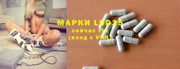 ПСИЛОЦИБИНОВЫЕ ГРИБЫ Володарск