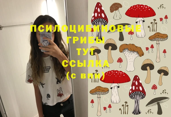 ПСИЛОЦИБИНОВЫЕ ГРИБЫ Володарск